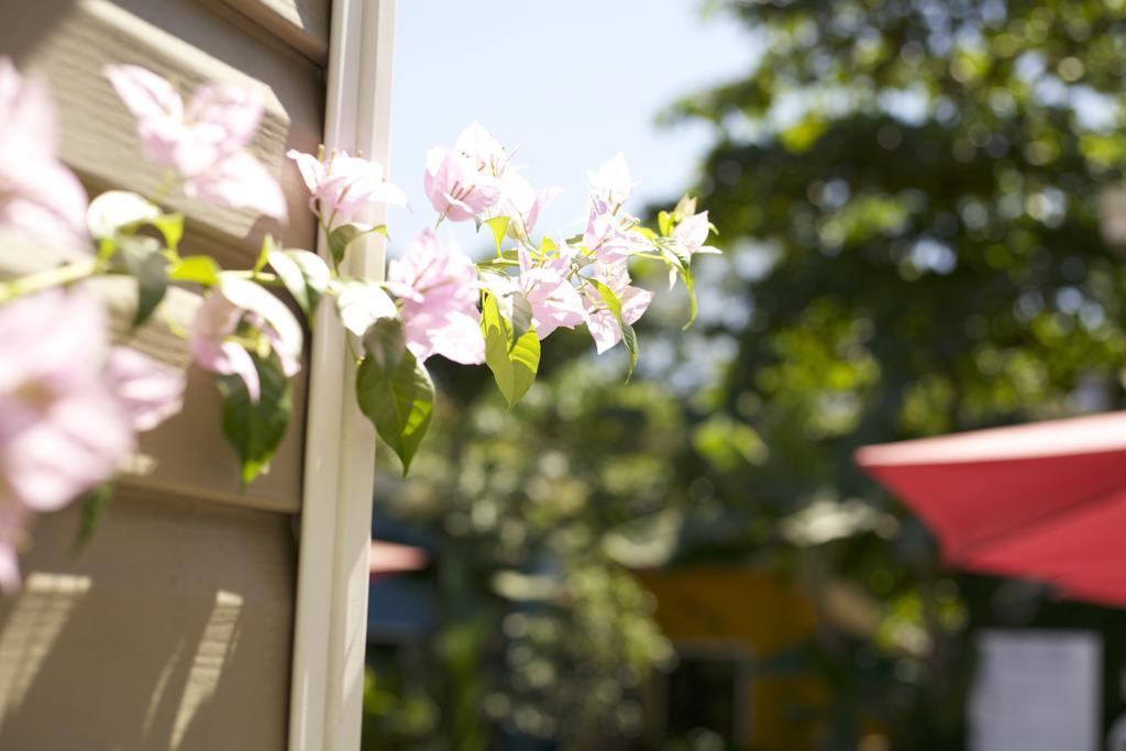 Jaco Lodge Quiet Place (Adults Only) Экстерьер фото
